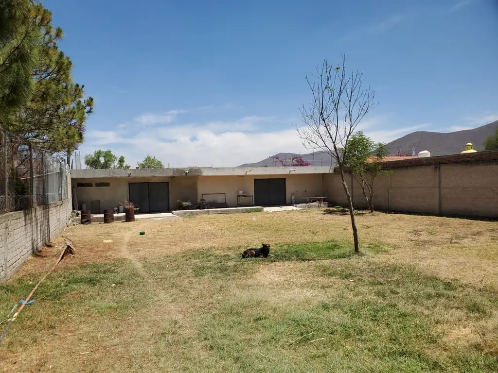 JOSÉ MARROQUÍN — foto 3