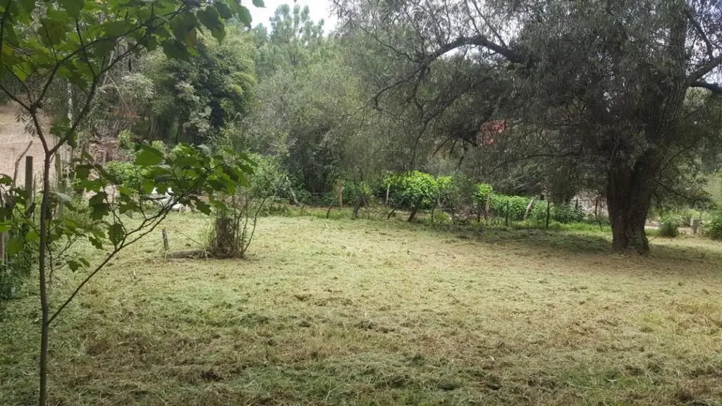 Venta de Terreno a unas cuadras del Centro de Mazamitla — foto 2