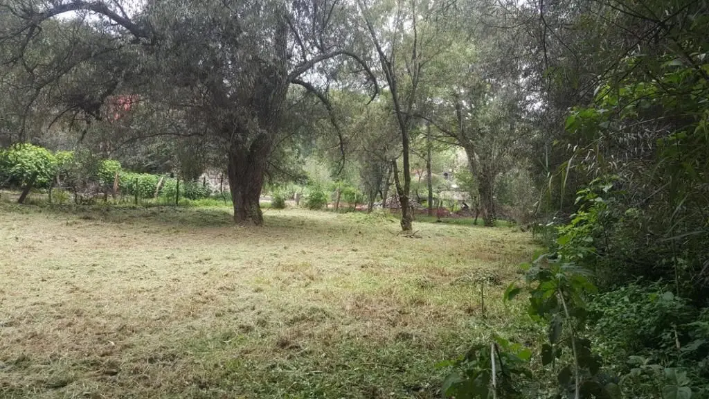 Venta de Terreno a unas cuadras del Centro de Mazamitla — foto 3