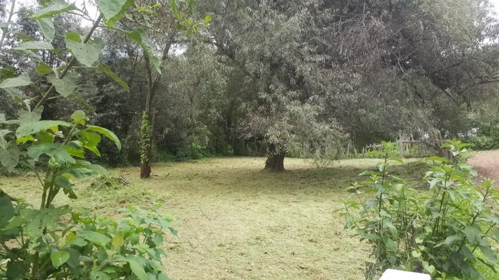 Venta de Terreno a unas cuadras del Centro de Mazamitla — foto 4