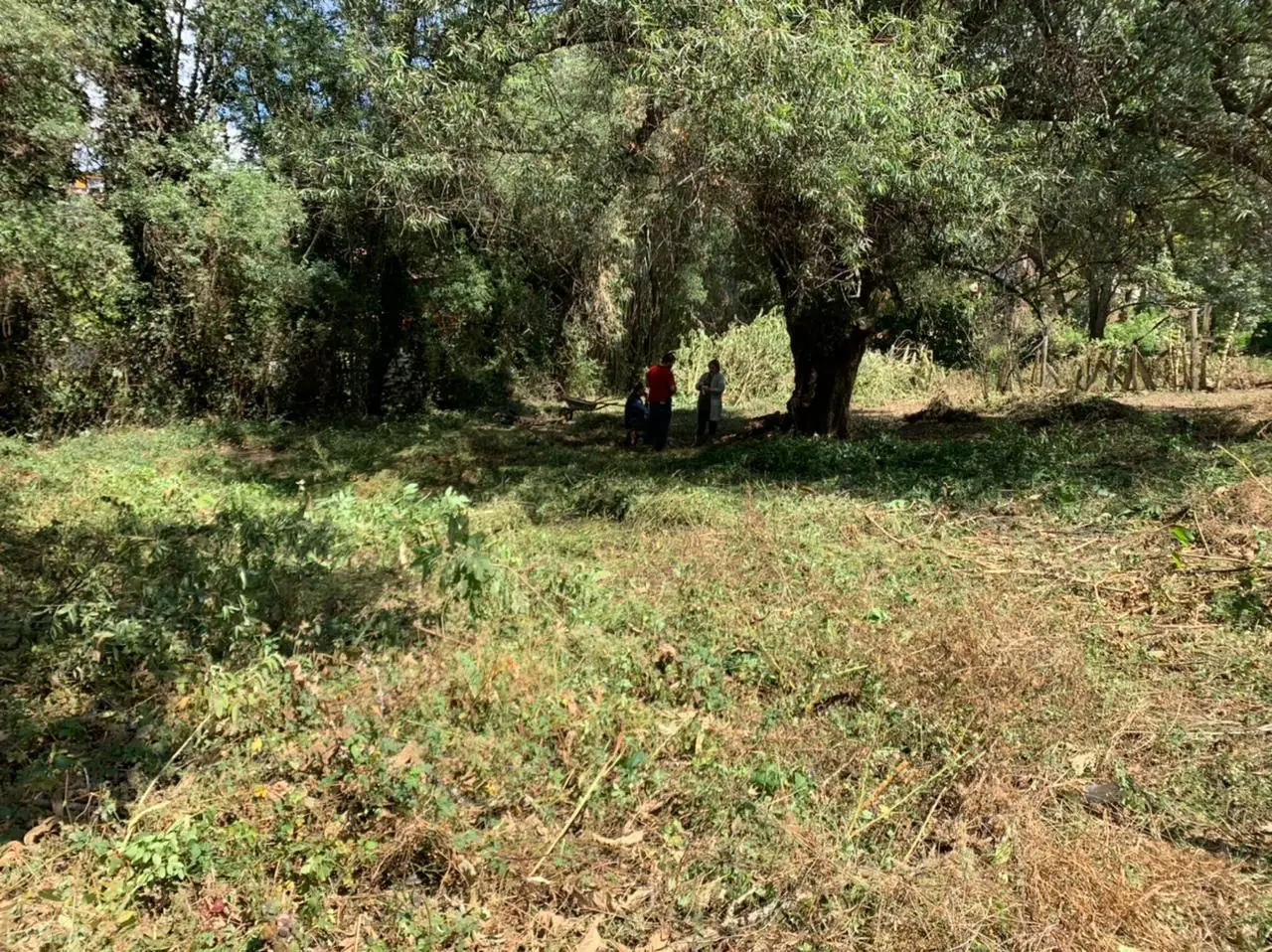 Venta de Terreno a unas cuadras del Centro de Mazamitla — foto 5