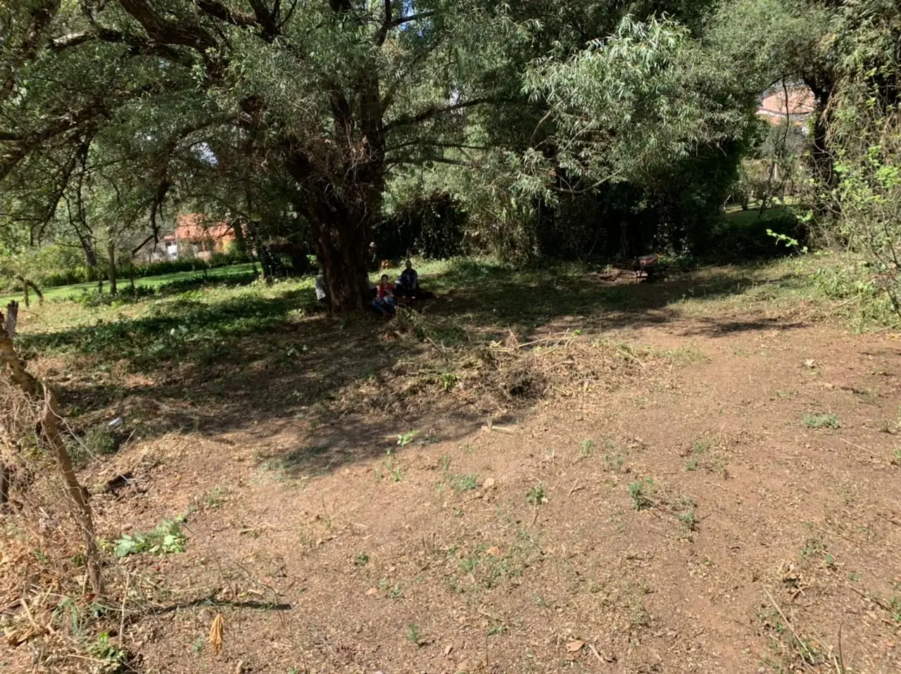 Venta de Terreno a unas cuadras del Centro de Mazamitla — foto 6