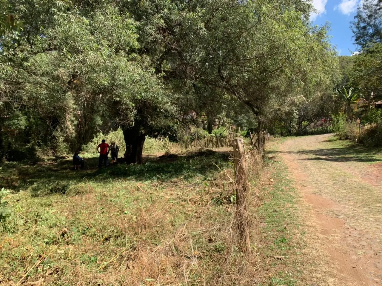 Venta de Terreno a unas cuadras del Centro de Mazamitla — foto 7
