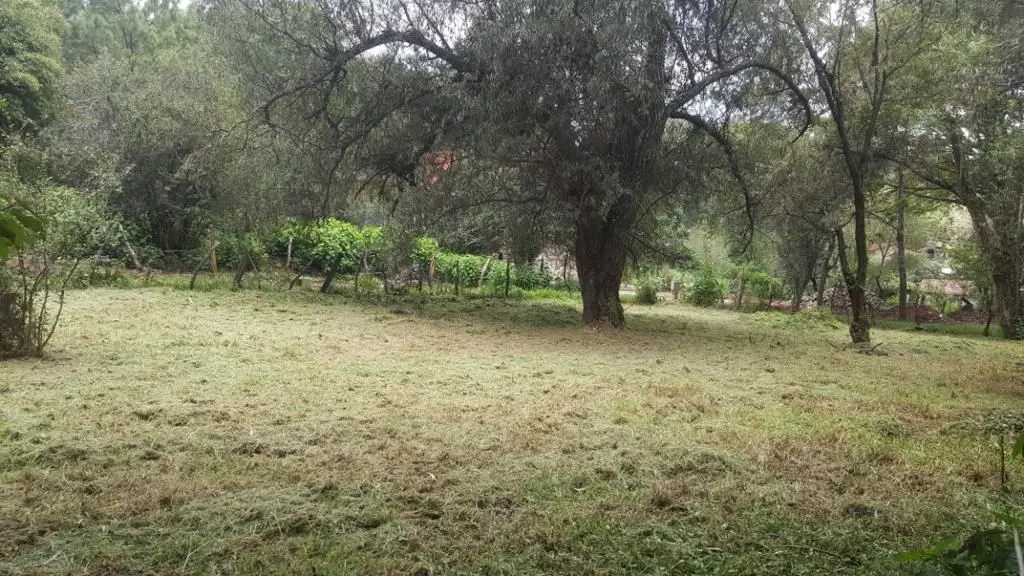 Venta de Terreno a unas cuadras del Centro de Mazamitla — foto 8