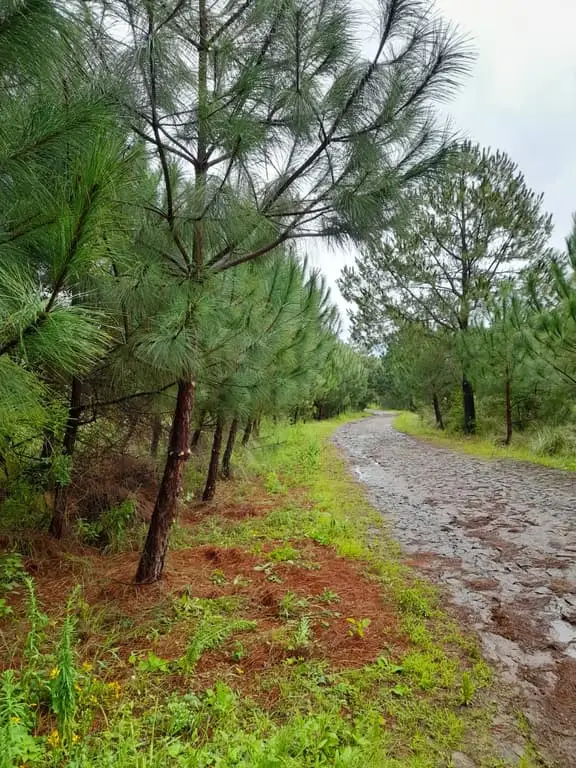 En ESQUINA Excelente oportunidad en Pinares Tapalpa. — foto 2