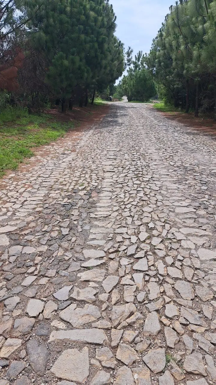 En ESQUINA Excelente oportunidad en Pinares Tapalpa. — foto 5