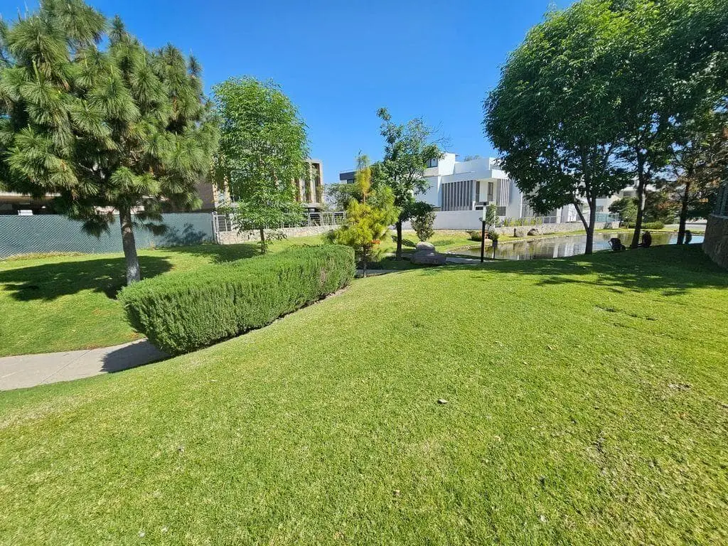 Terreno de Lujo en Puerta las Lomas — foto 5