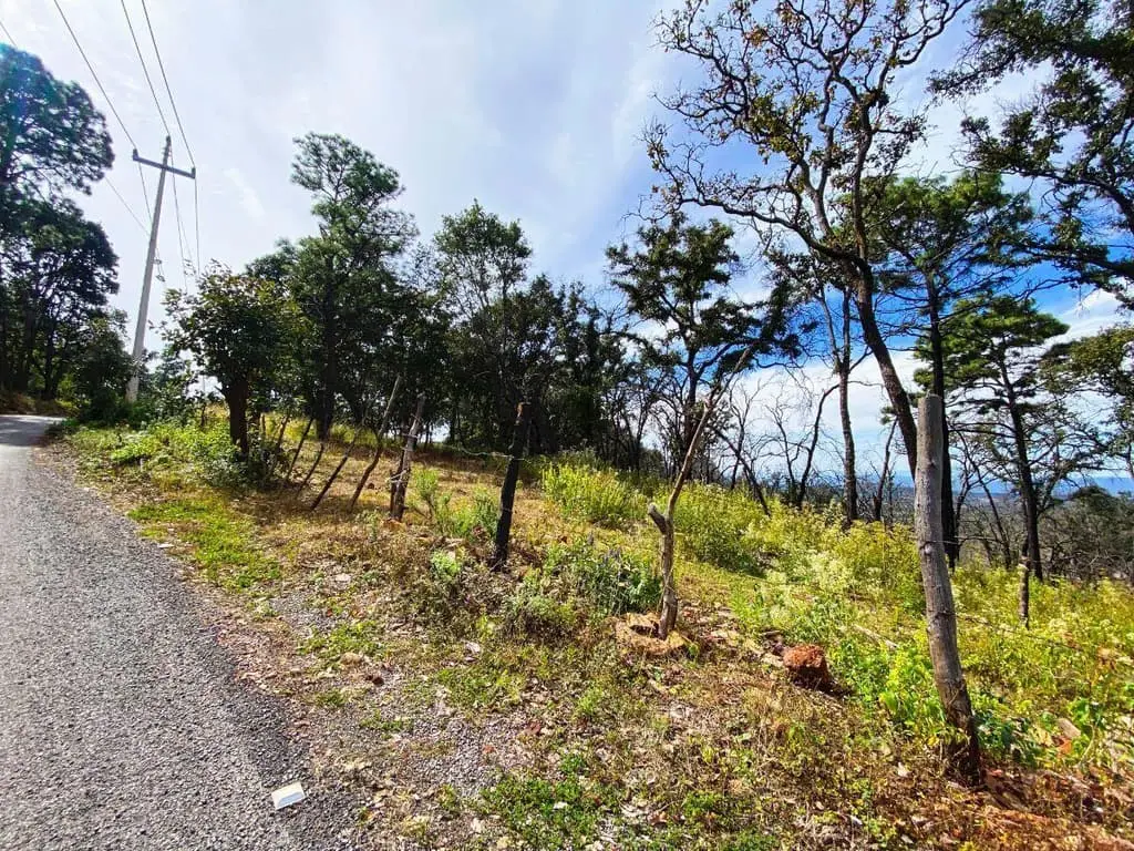 Terreno de 1 Hectarea en Venta en Atemajac de Brizuela a Pie de Carretera. — foto 2