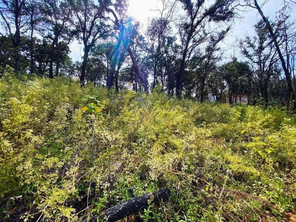 Terreno de 1 Hectarea en Venta en Atemajac de Brizuela a Pie de Carretera. — foto 4