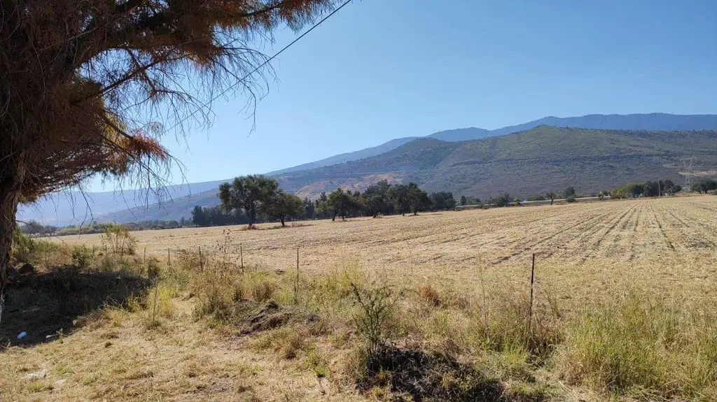 Terreno en Venta en Tlajomulco de Zúñiga Uso de suelo Mixto — foto 7