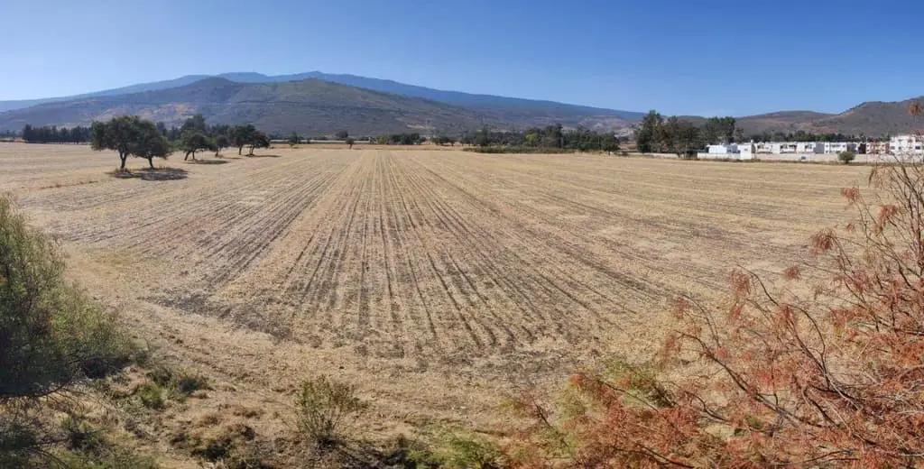 Terreno en Venta en Tlajomulco de Zúñiga Uso de suelo Mixto — foto 8