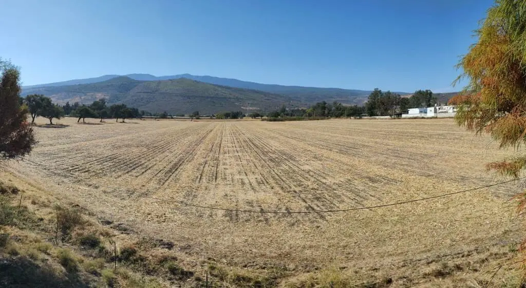 Terreno en Venta en Tlajomulco de Zúñiga Uso de suelo Mixto — foto 9