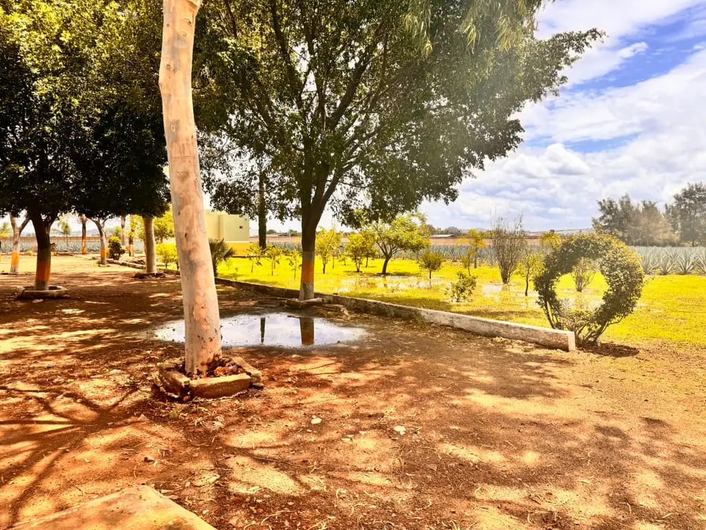 Terreno en Venta en Tlajomulco de Zuñiga, Jal. — foto 5