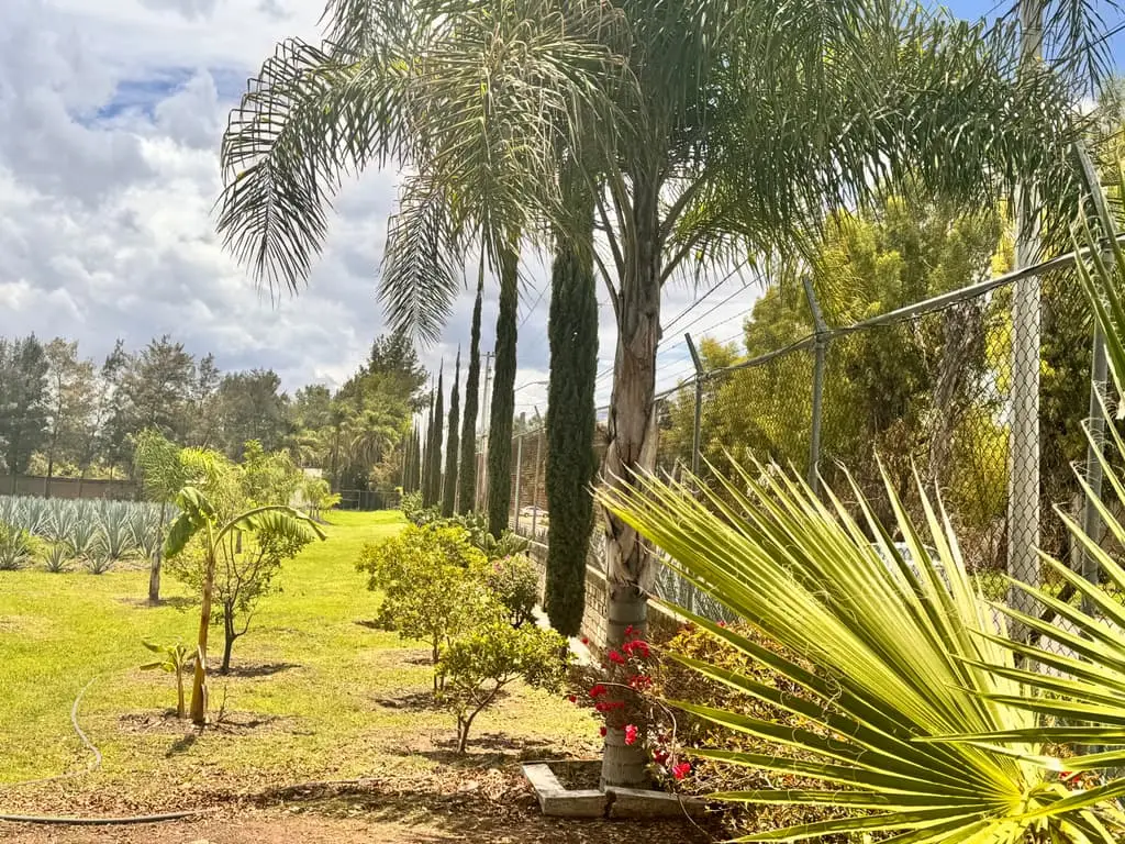 Terreno en Venta en Tlajomulco de Zuñiga, Jal. — foto 7