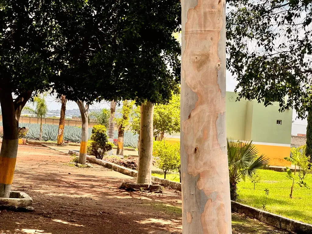 Terreno en Venta en Tlajomulco de Zuñiga, Jal. — foto 8