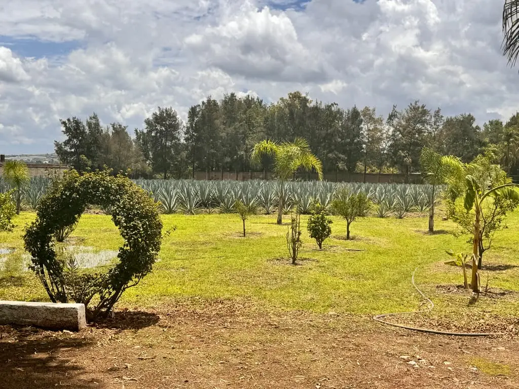 Terreno en Venta en Tlajomulco de Zuñiga, Jal. — foto 9