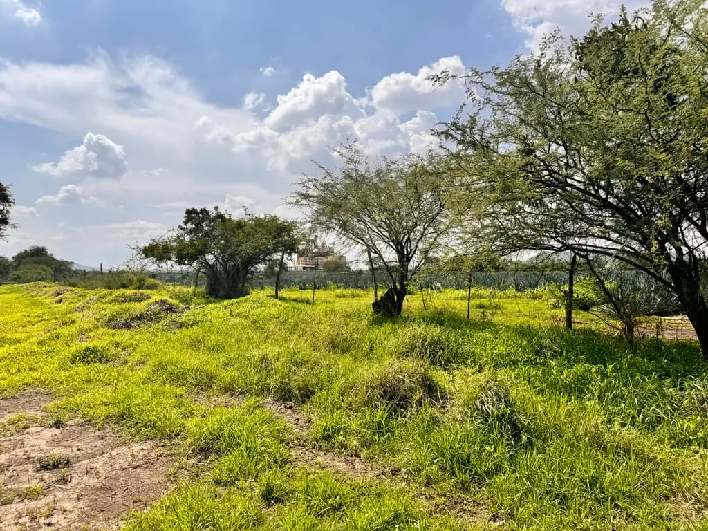 Terreno en Venta en Tlajomulco de Zuñiga, Jal. — foto 2