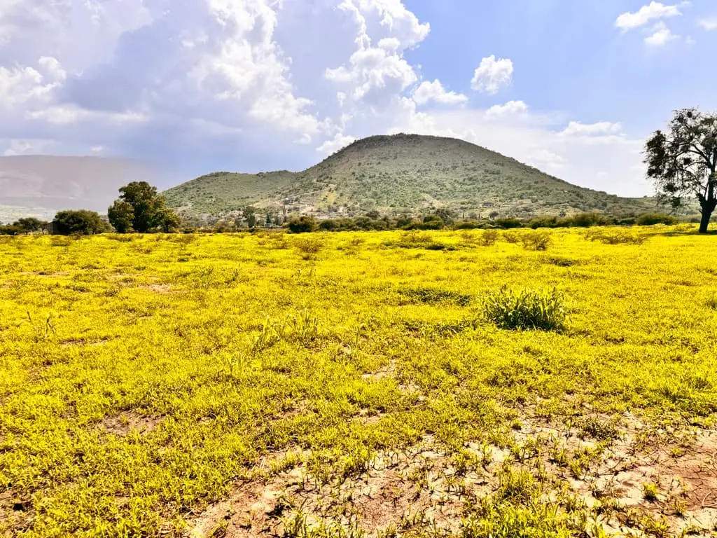 Terreno en Venta en Tlajomulco de Zuñiga, Jal. — foto 3