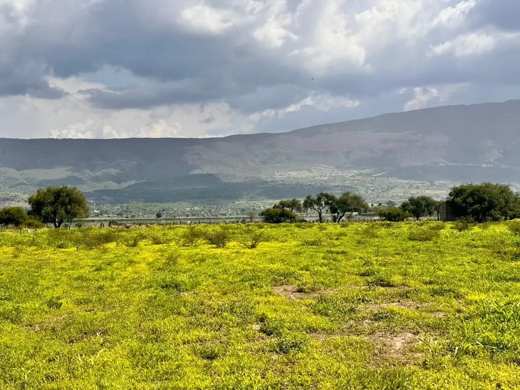 Terreno en Venta en Tlajomulco de Zuñiga, Jal. — foto 4