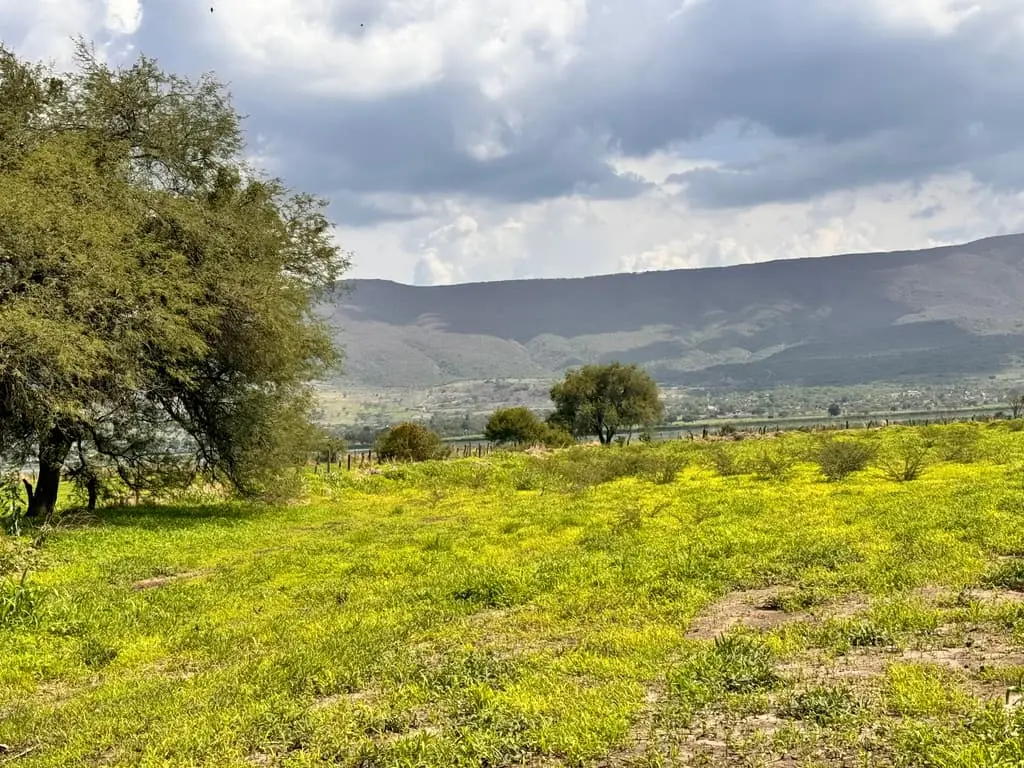 Terreno en Venta en Tlajomulco de Zuñiga, Jal. — foto 5