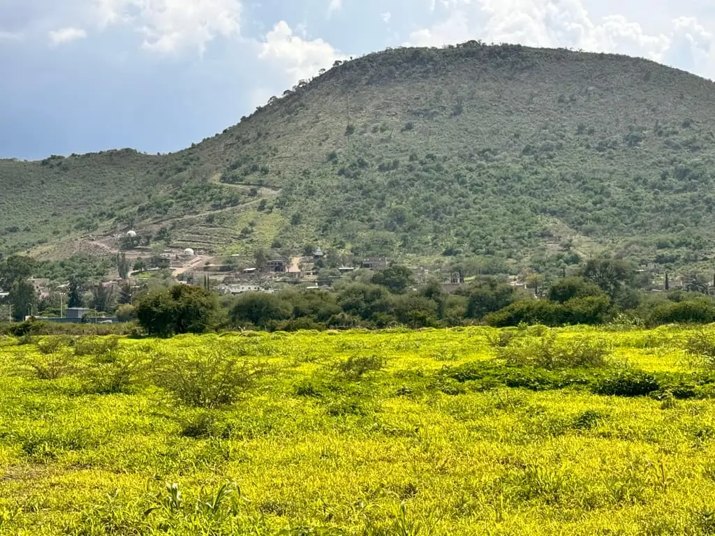 Terreno en Venta en Tlajomulco de Zuñiga, Jal. — foto 6
