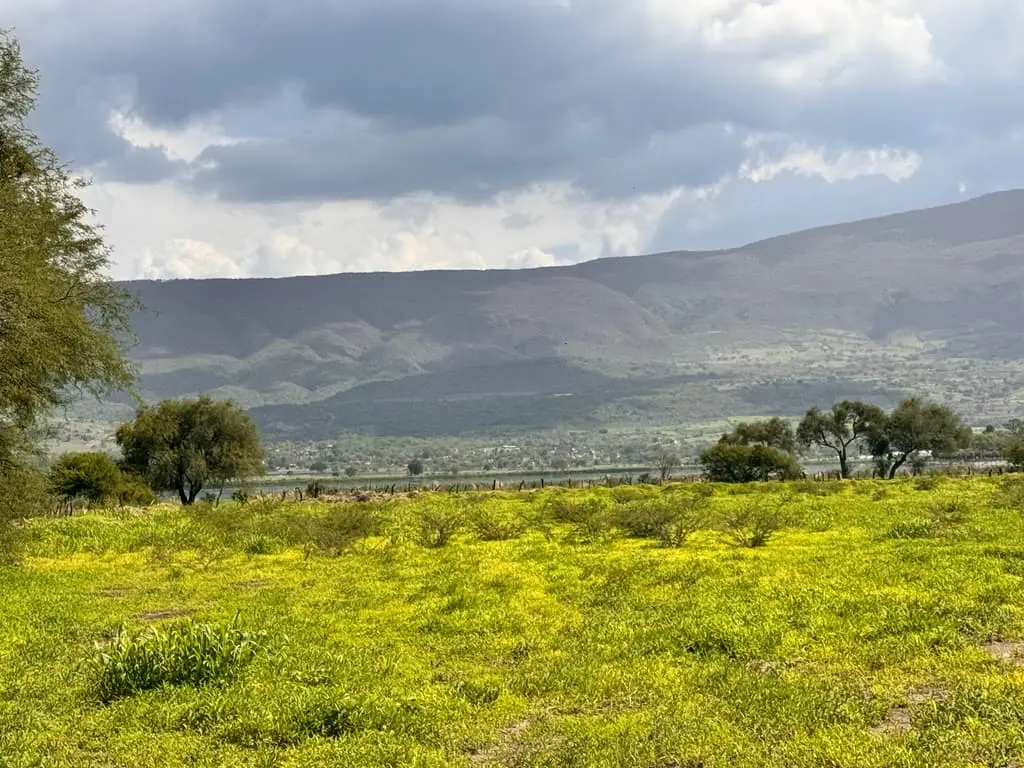 Terreno en Venta en Tlajomulco de Zuñiga, Jal. — foto 7