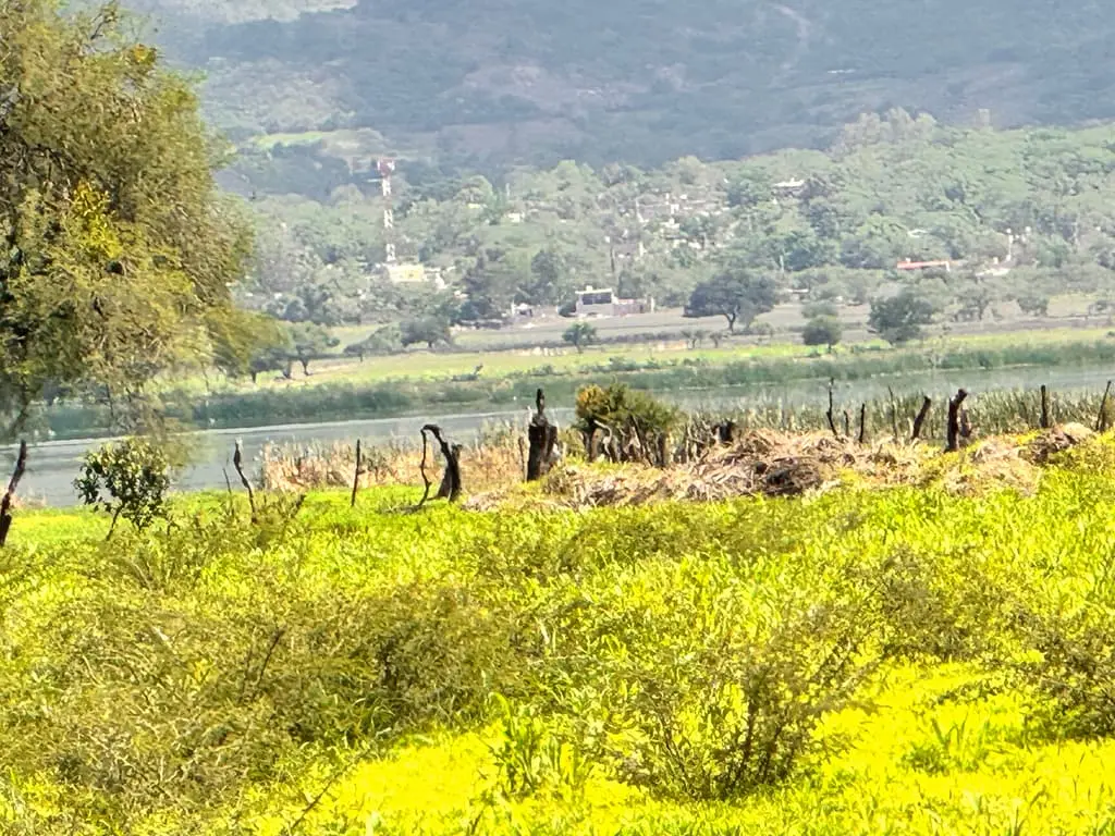 Terreno en Venta en Tlajomulco de Zuñiga, Jal. — foto 8