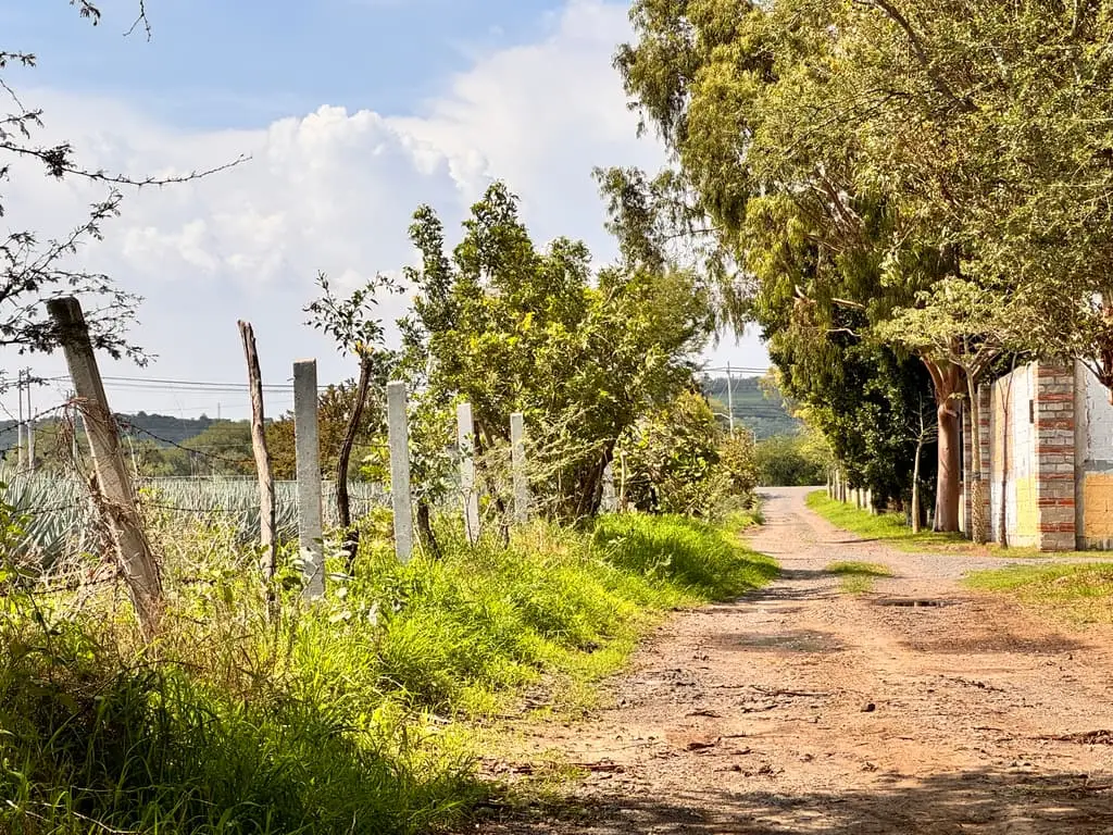 Terreno en Venta en Tlajomulco de Zuñiga, Jal. — foto 9