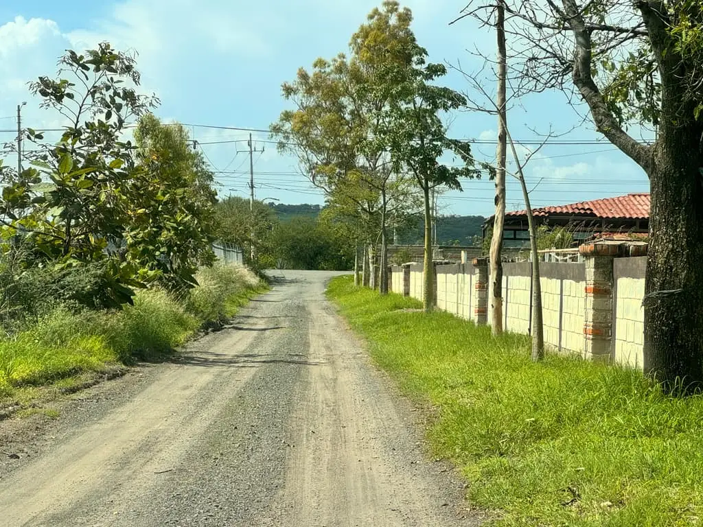 Terreno en Venta en Tlajomulco de Zuñiga, Jal. — foto 10