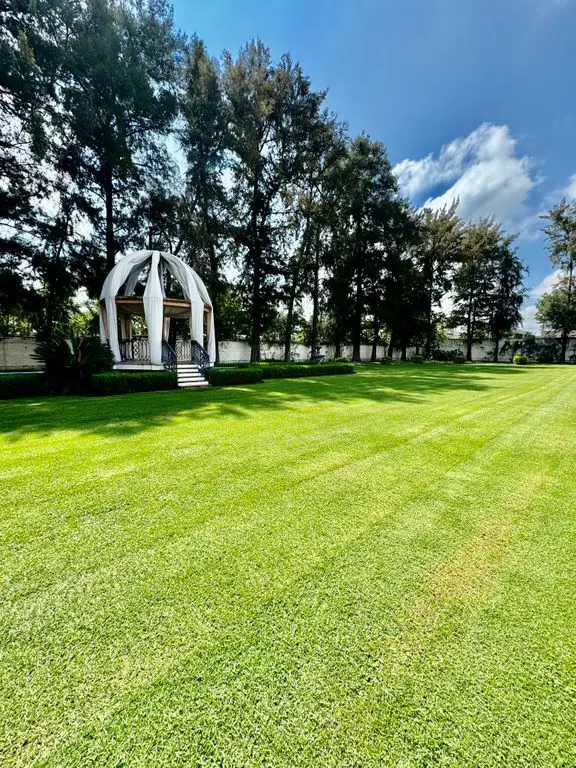 Terraza en Venta OLIMPO, La Palmira Zapopan. — foto 9