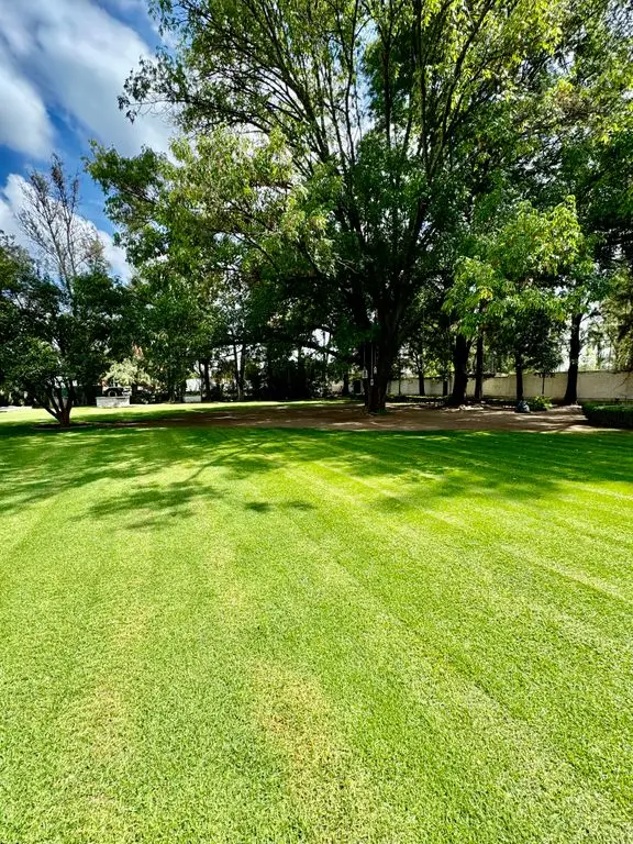 Terraza en Venta OLIMPO, La Palmira Zapopan. — foto 10