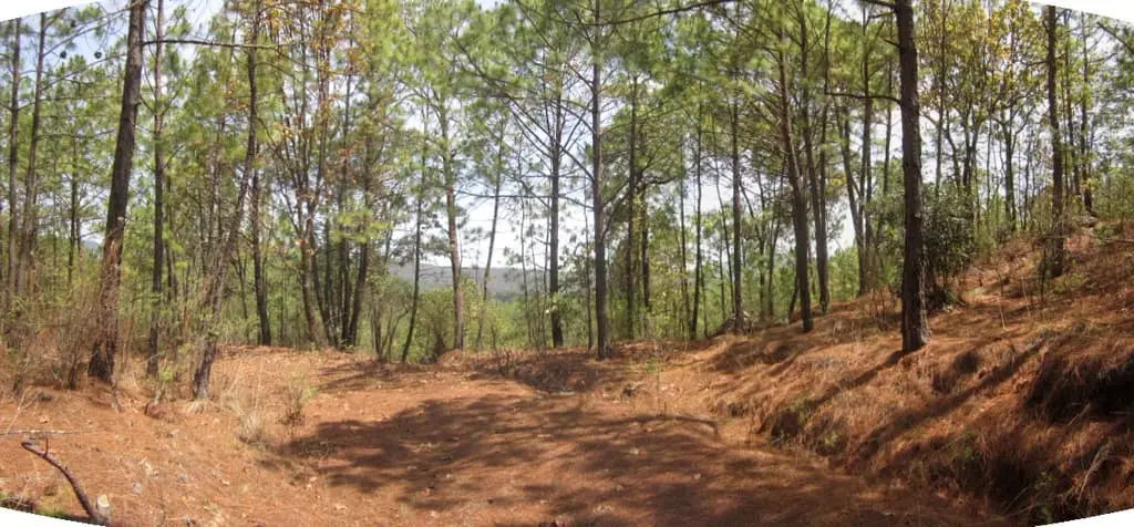 Terreno Rustico de 108 +Has Mazamitla