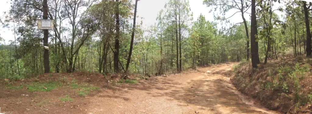 Terreno Rustico de 108 +Has Mazamitla — foto 12