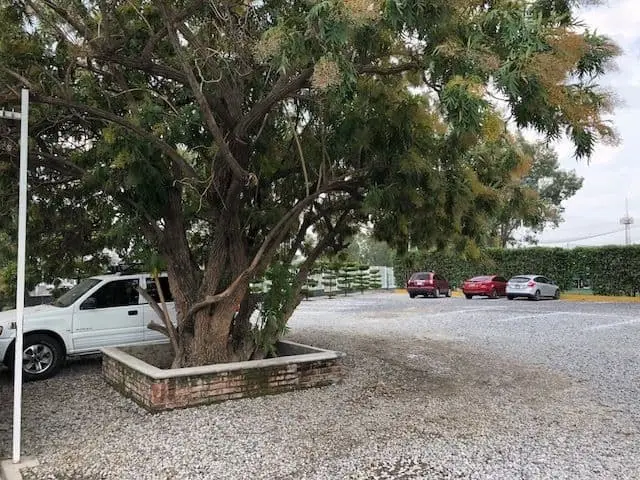 Terreno en Venta Sobre Periferico en Zapopan — foto 9