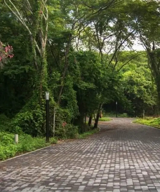 Terrreno Residencial BOLONGO Lote 120 — foto 3