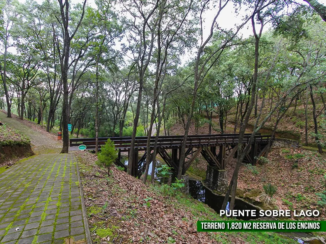 Terreno en Venta — foto 3