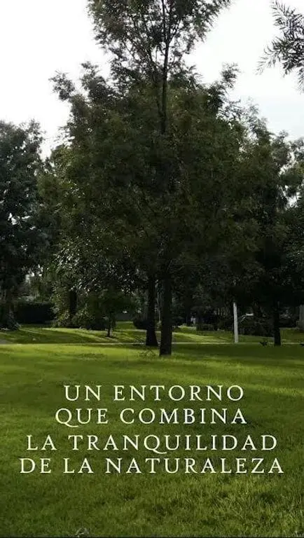 Terreno en venta en Travessera — foto 4