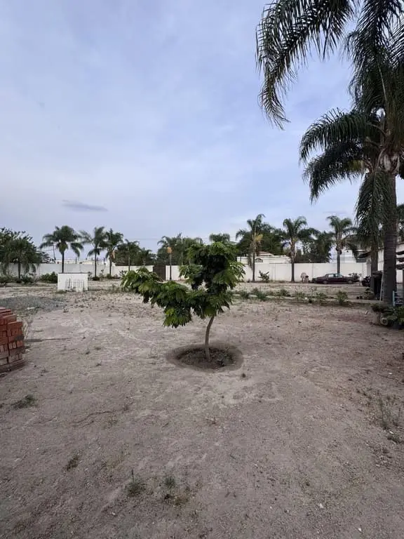 Terreno en venta en Jardines del Valle en Zapopan Jalisco — foto 6