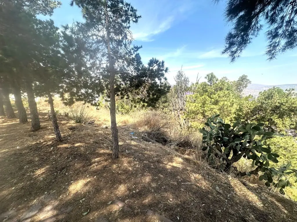 Terreno Panoramico Bugambilias Cerca Club Deportivo Bugambilias — foto 4
