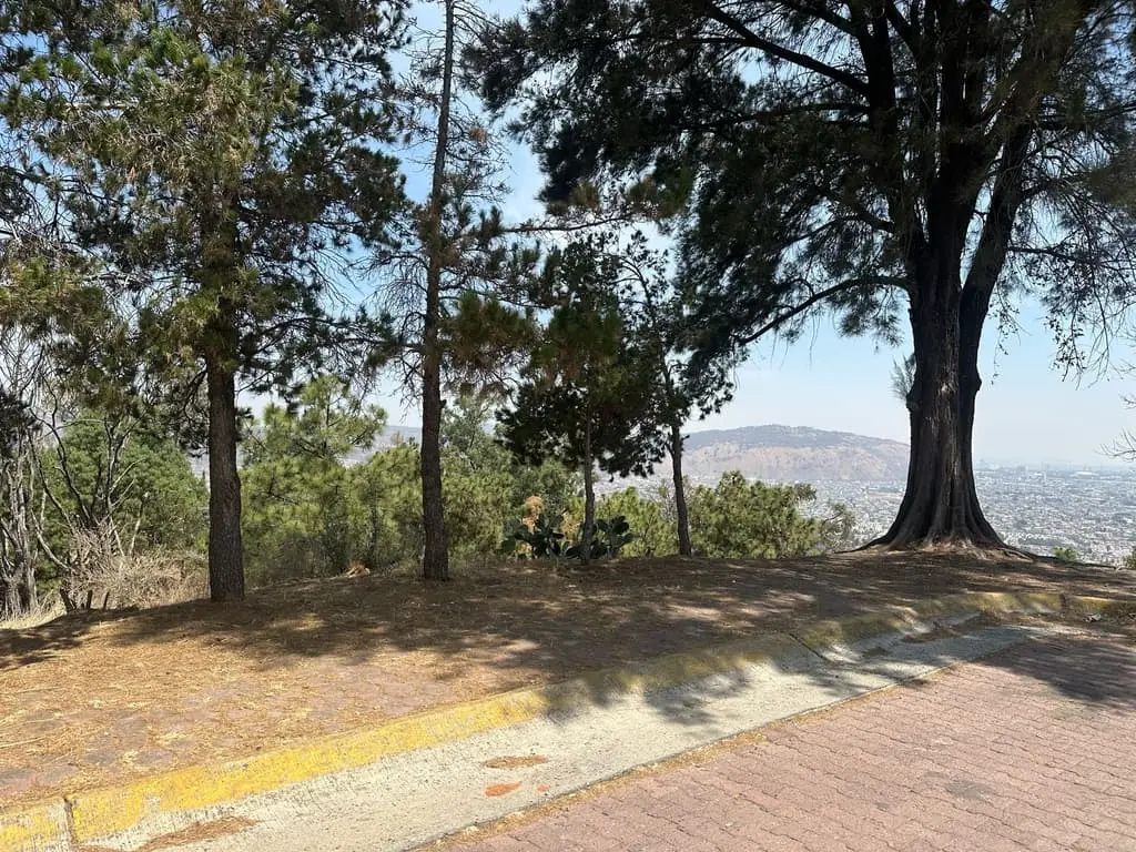 Terreno Panoramico Bugambilias Cerca Club Deportivo Bugambilias — foto 5