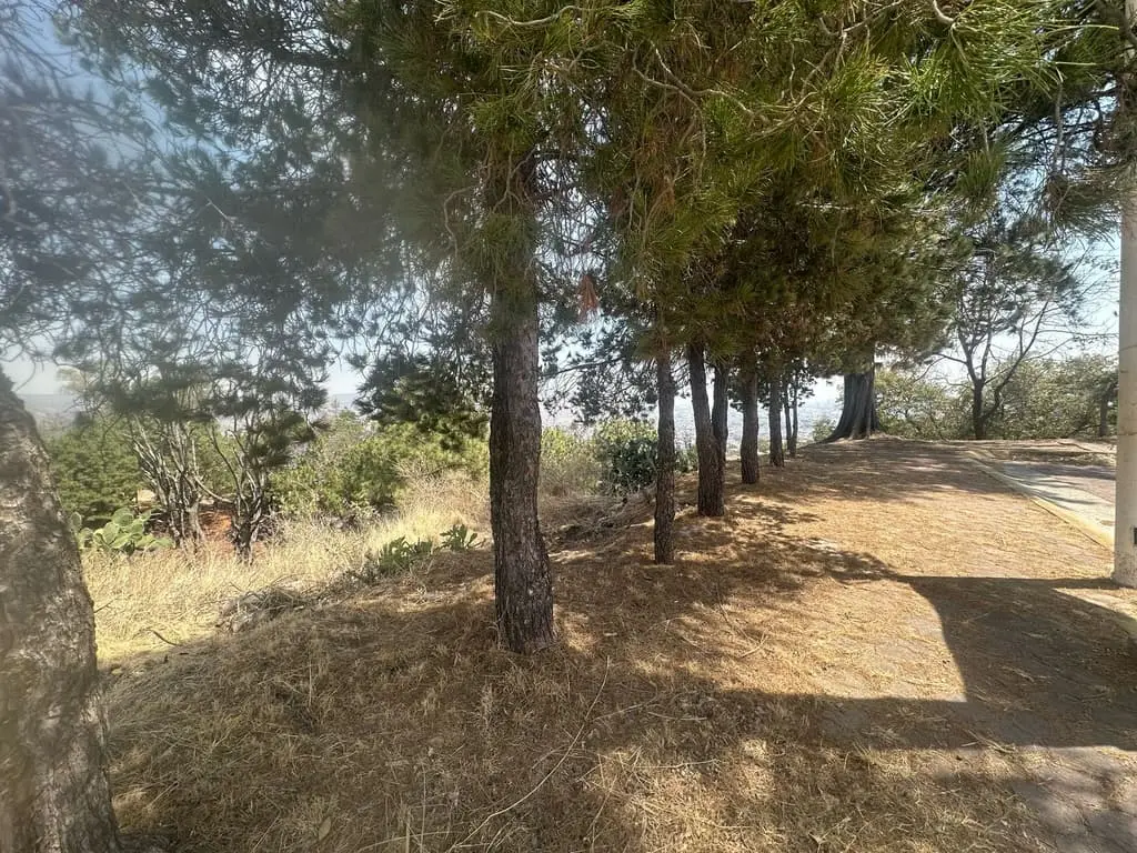 Terreno Panoramico Bugambilias Cerca Club Deportivo Bugambilias — foto 6