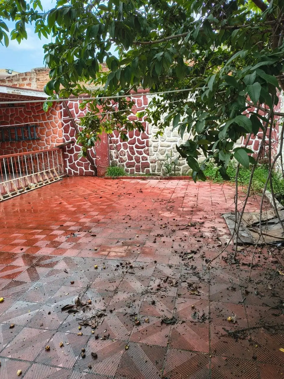 Casa Habitación en Tala, Jalisco. — foto 8