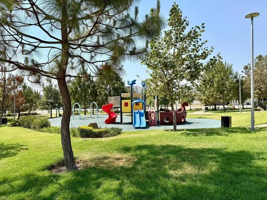 Tu Futuro Empieza Aqui, Terreno en Valle Imperial — foto 8