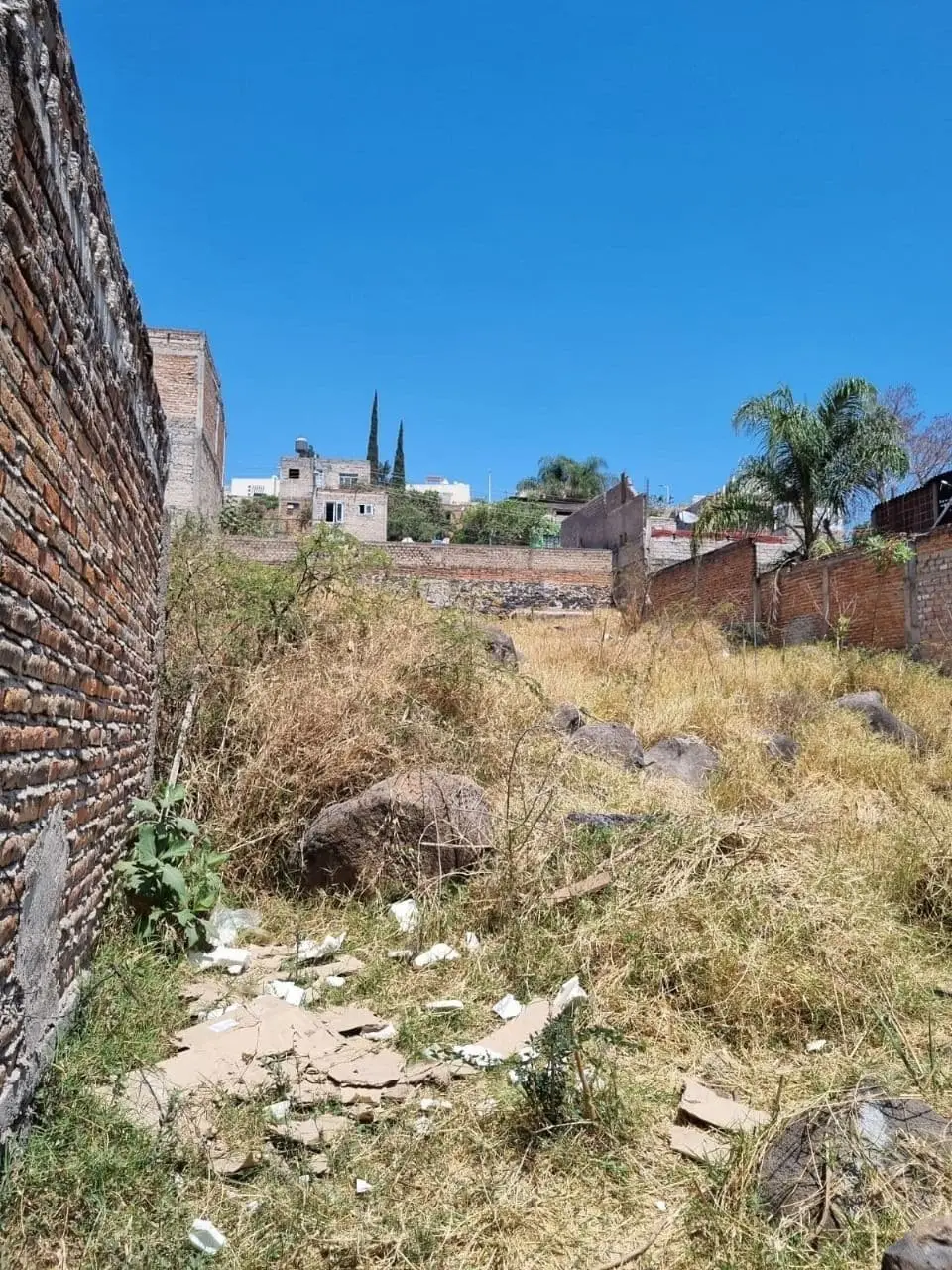 Terreno en Calle Tepeyac, Lomas del 4 — foto 4