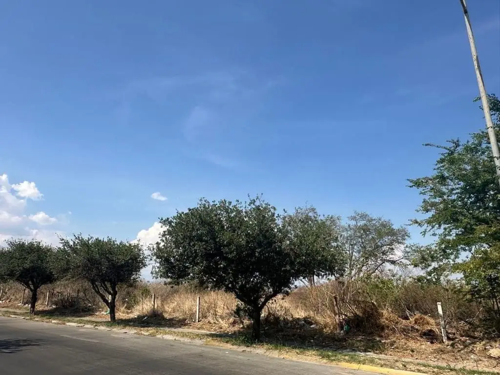 Terreno comercial en renta sobre av Altavista — foto 2