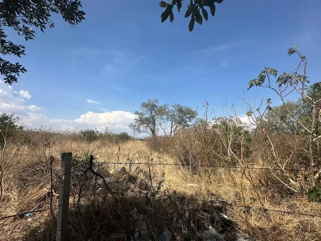 Terreno comercial en renta sobre av Altavista — foto 3