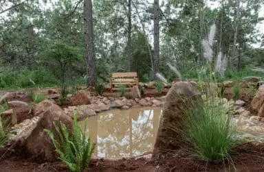 Terreno en Venta en Sendero de los Venados — foto 3