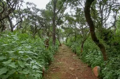 Terreno en Venta en Sendero de los Venados — foto 4