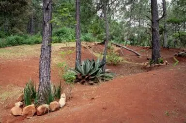 Terreno en Venta en Sendero de los Venados — foto 8