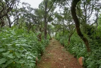 Terreno en Venta en Sendero de los Venados — foto 9